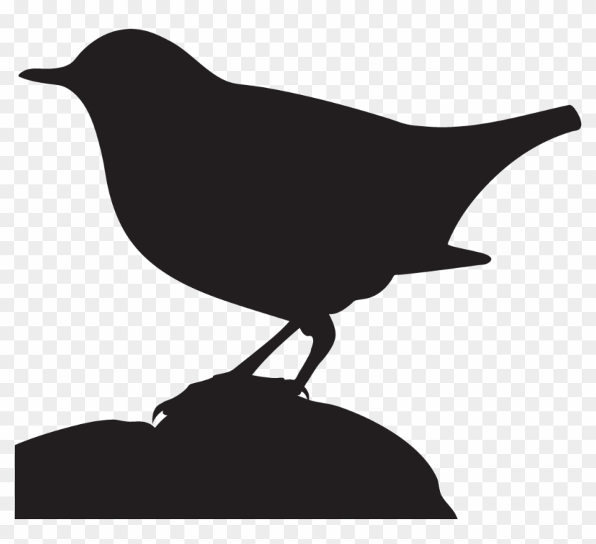 American Dipper - All About Birds #1462078