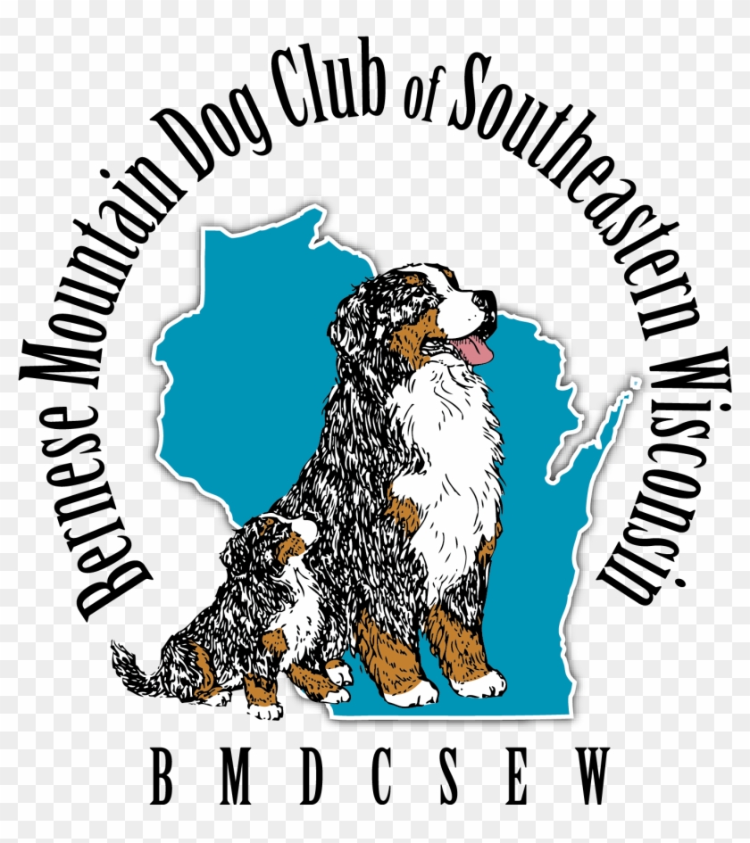 Bernese Mountain Dog #1462635