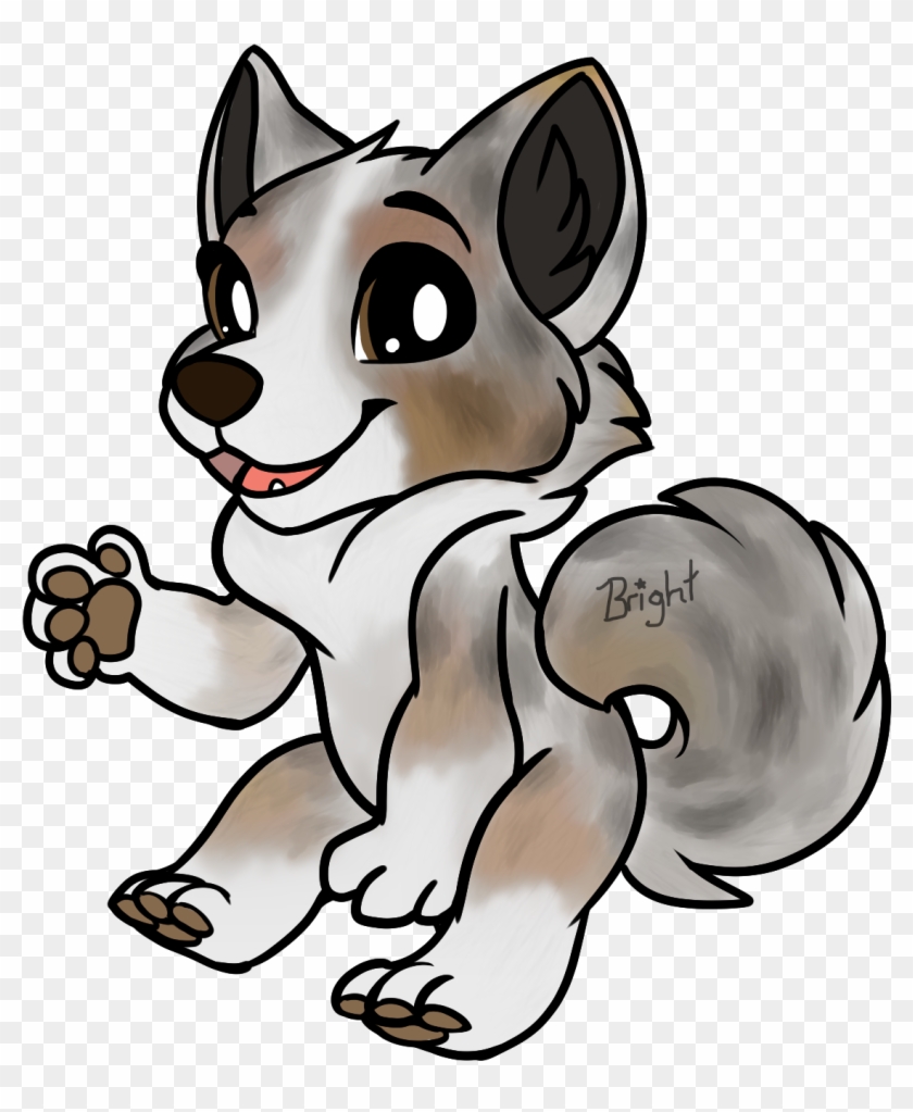 Australian Shepherd - Australian Shepherd #1462641