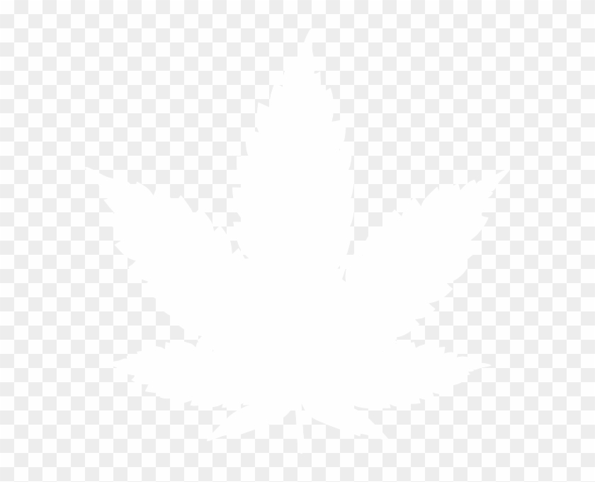White Leaf #1463790