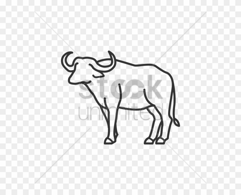Vector Transparent Library Buffalo At Getdrawings Com - Water Buffalo Line Art #1464271