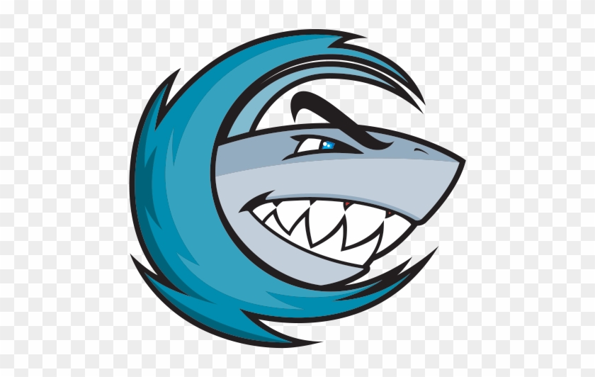 Clipart Shark Eye - Decoration Vinyl Stickers Shark Surfer R Decoration #1464774