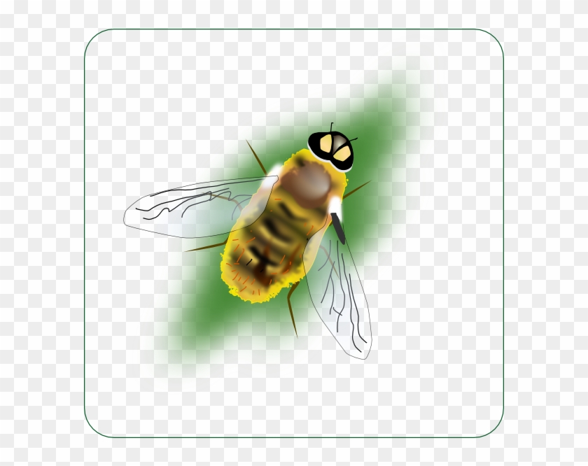 This Free Clip Arts Design Of Digital Bee Art - This Free Clip Arts Design Of Digital Bee Art #1464821