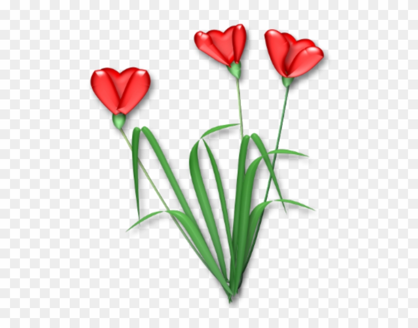 Flower #1466672