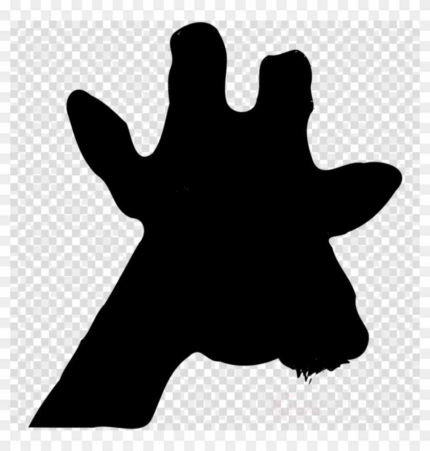 Giraffe Outline Head Clipart Drawing Clip Art - Sticker With Transparent Background #1467236