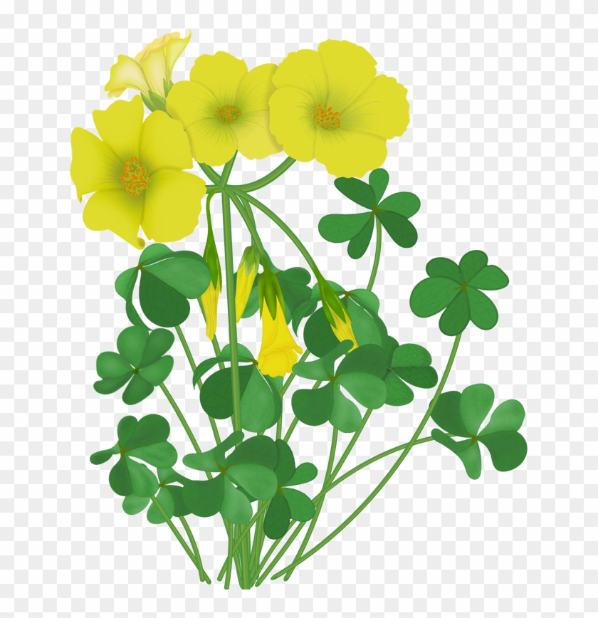 Flowers - Vector Wildflowers - Clip Art #1467702