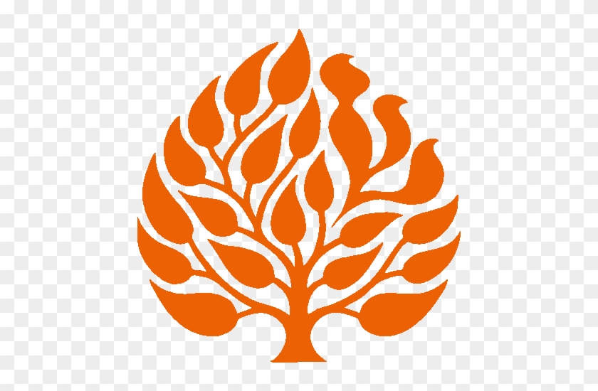 Ramah Announces Results Of Alumni Survey - Jewish Theological Seminary #1470126