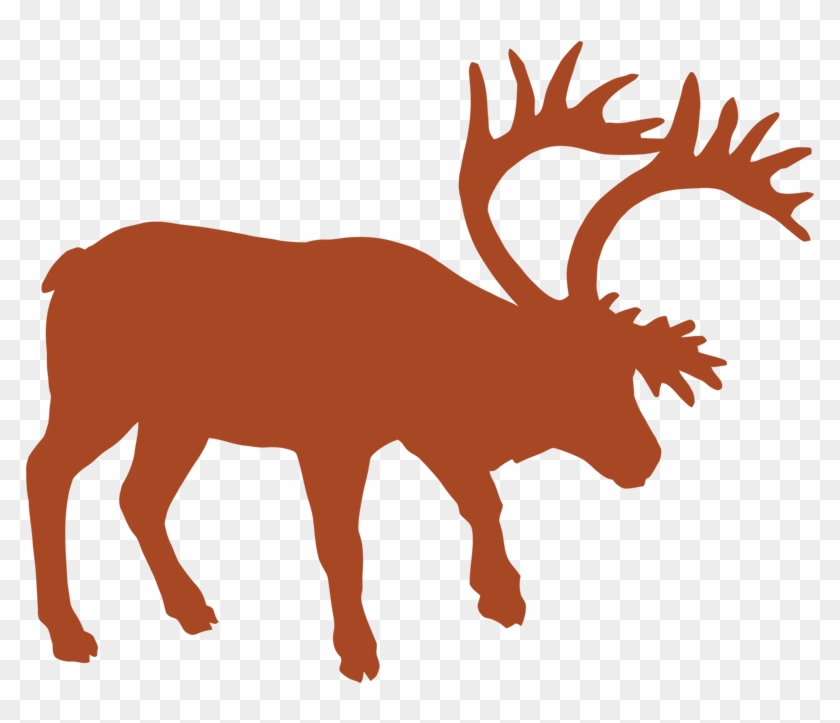 Mountain Caribou - Illustration #1470732