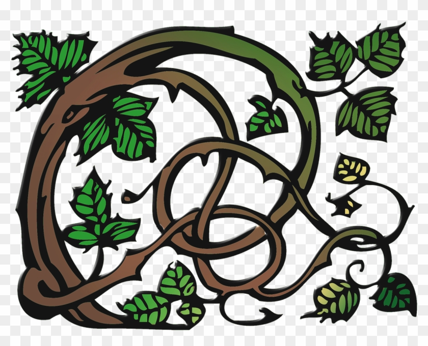 Ranke Clip Art Vine - Schlingpflanzen Clipart #1470976