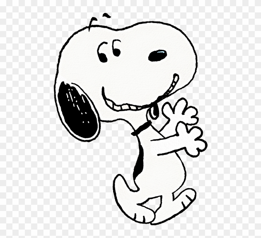 Snoopy Y Sus Amigos - Peanuts By Schulz: Snoopy Tales Dvd #1471438