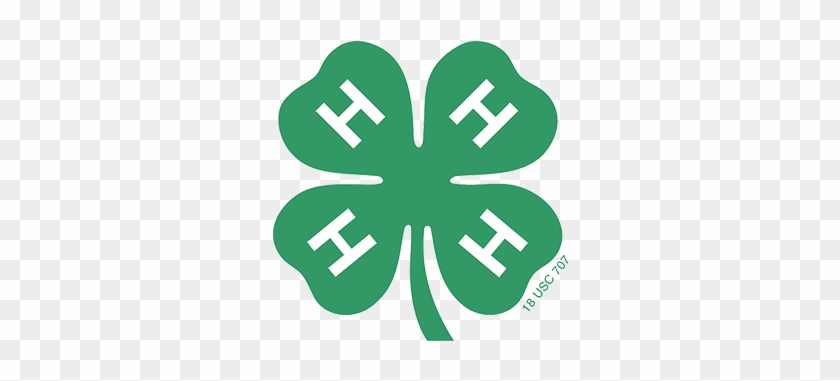 4 H Empowers School Aged Youth To Meet Challenges Of - 4 H Clover Png #1471596