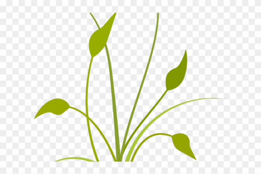 Free Nature Clipart - Free Nature Clipart #1471684