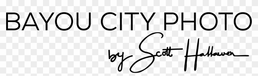 Bayou City Photography - Bayou City Photography #1471875