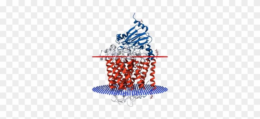 Catalytic Core Subunits Of Cytochrome C Oxidase From - Graphic Design #1472156
