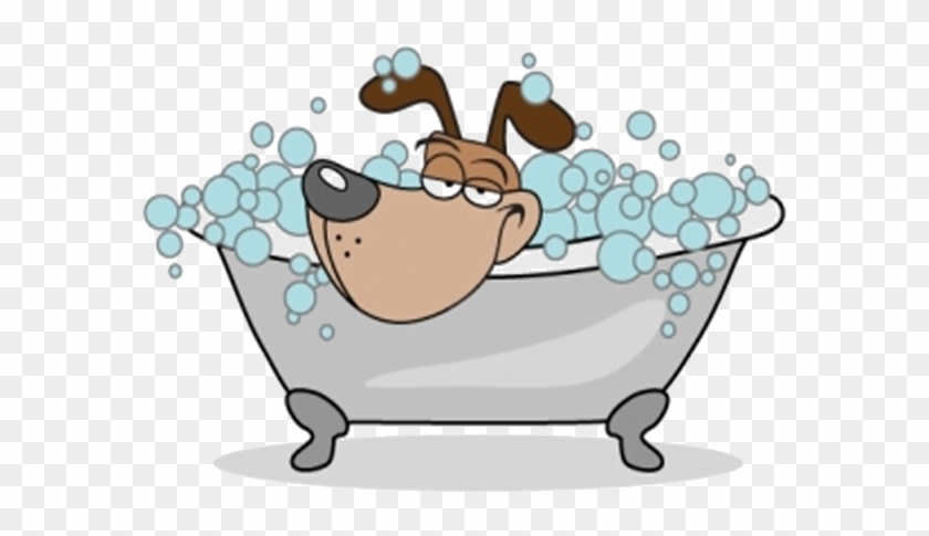 Dog #1473902