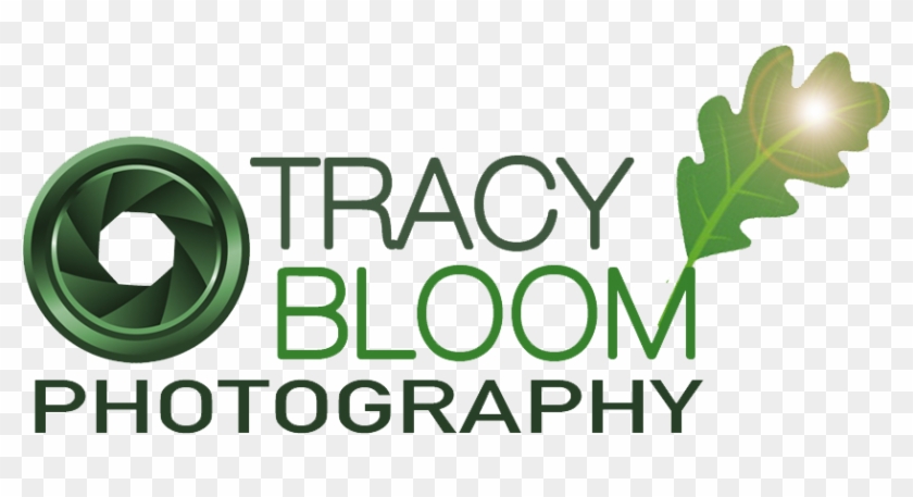 Photography By Tracy L Bloom - Photography By Tracy L Bloom #1474478