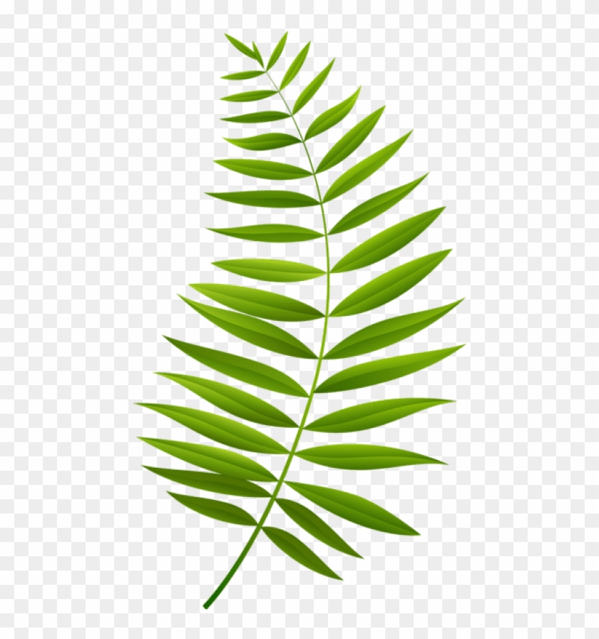 Free Png Download Palm Branch Transparent Clipart Png - Free Png Download Palm Branch Transparent Clipart Png #1474730