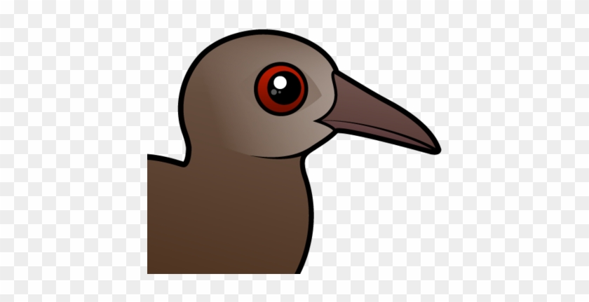 About The Lord Howe Woodhen - About The Lord Howe Woodhen #1475048