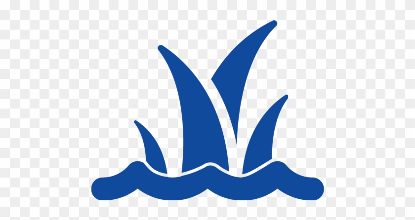 Aquatic Vegetation Management - Aquatic Vegetation Management #1475326