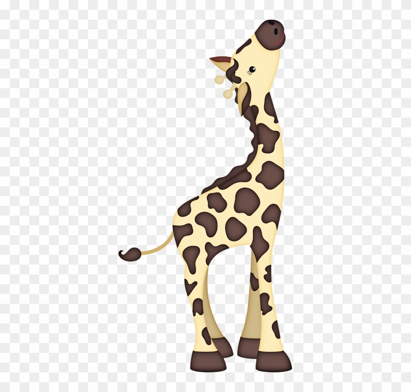 Safari - Safari #1476173