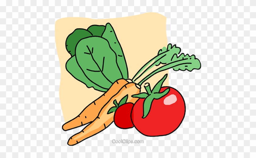 Legumes Frescos Livre De Direitos Vetores Clip Art - Legumes Frescos Livre De Direitos Vetores Clip Art #1477220