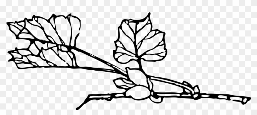 Download Computer Icons Line Art Drawing Graphic Arts - Download Computer Icons Line Art Drawing Graphic Arts #1477676