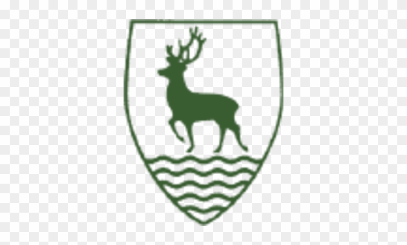 Simon Balle School - Simon Balle School #1477768