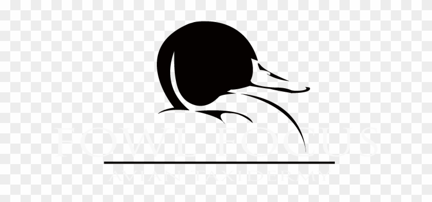 Fowl Focus - Fowl Focus #1478475
