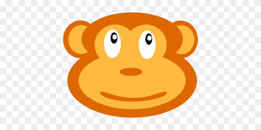 Snout Cat Monkey Mammal Carnivores - Snout Cat Monkey Mammal Carnivores #1479842