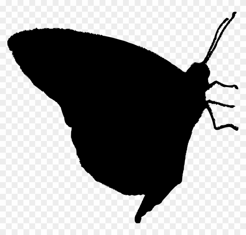 Vector Graphics - Vector Graphics #1480633