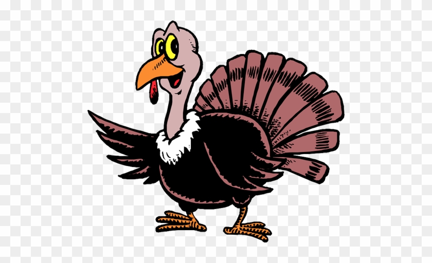 Turkey - Turkey #1480749