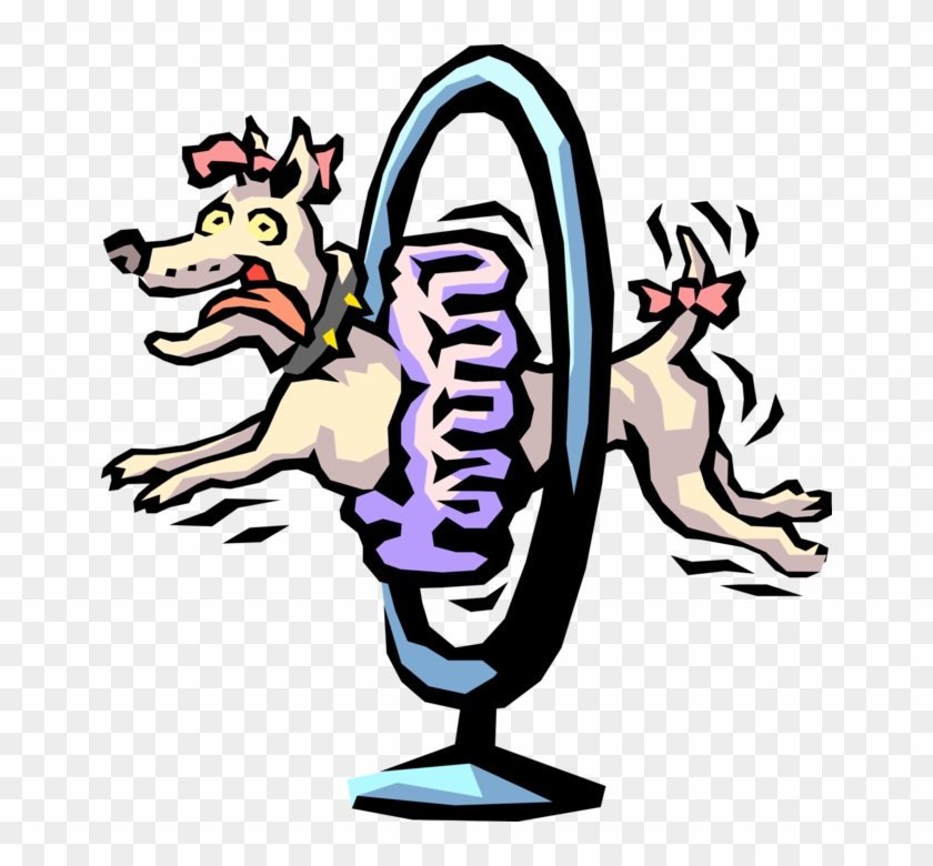 Show Dog Jumps Through Hoop - Show Dog Jumps Through Hoop #1482019