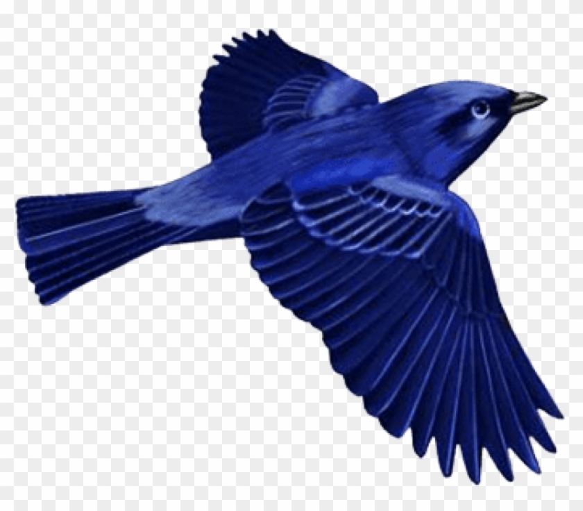 Dark Blue Bird Clip-art Png - Dark Blue Bird Clip-art Png #1482077