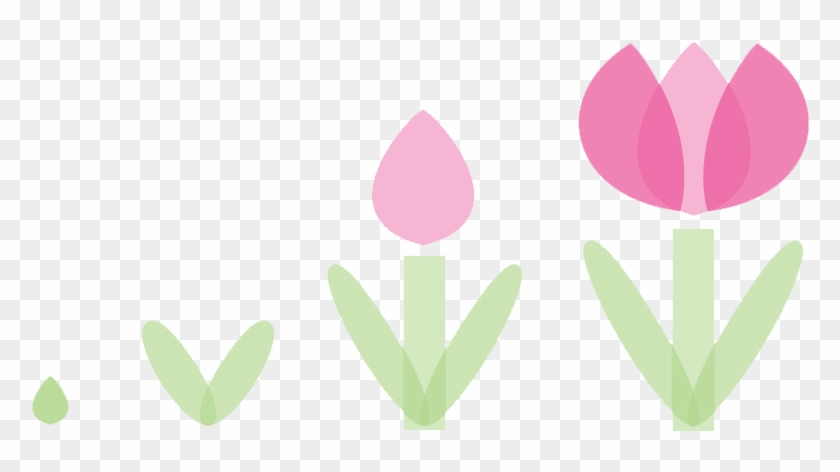 Tulips - Tulips #1482161