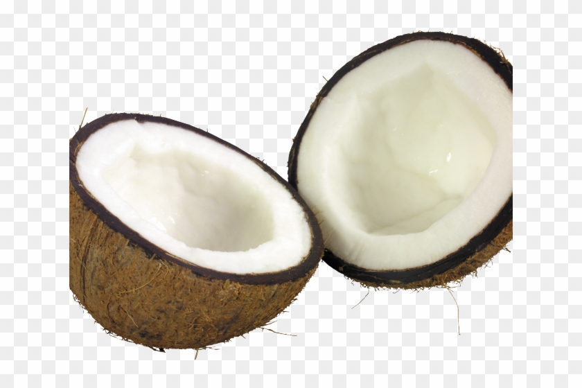 Coconut Clipart High Resolution - Coconut Clipart High Resolution #1482561