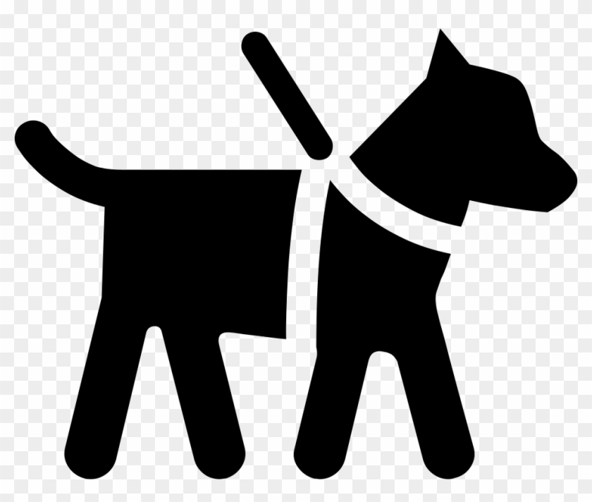 Guide Dog Comments - Guide Dog Comments #1483130