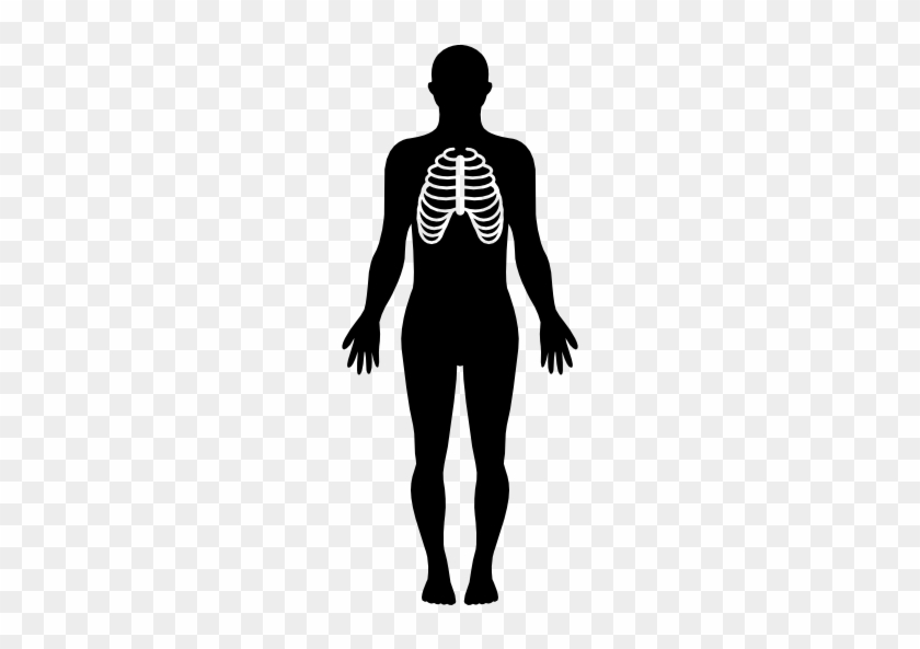 Drawing Lung Silhouette - Drawing Lung Silhouette #1483351
