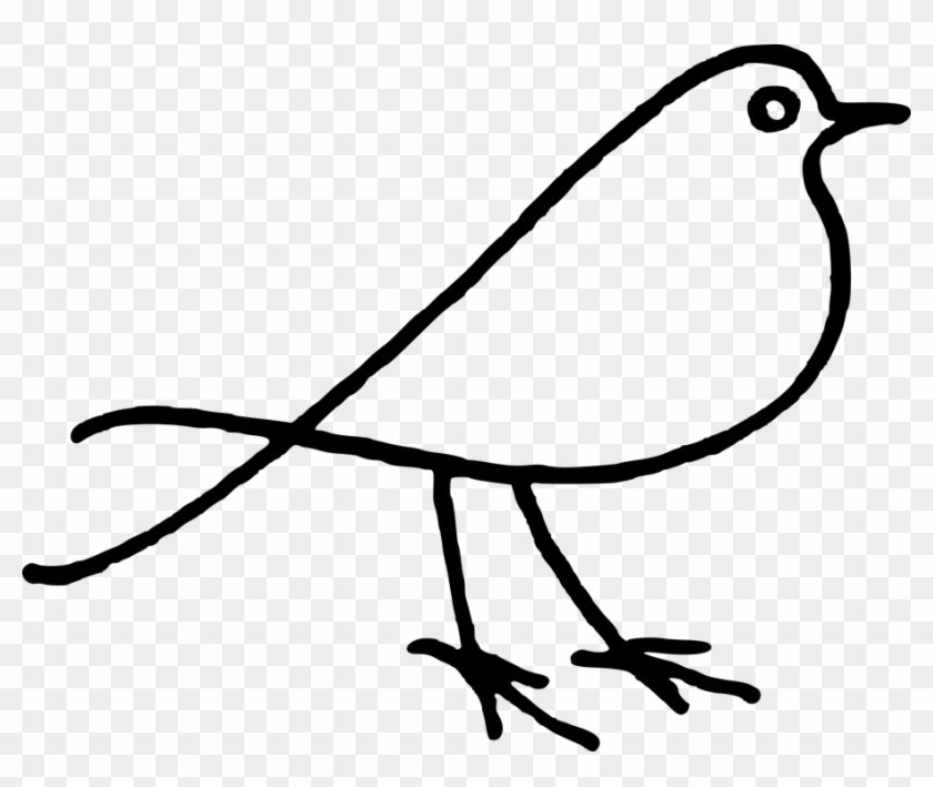 Animal Bird Doodle - Animal Bird Doodle #1483401
