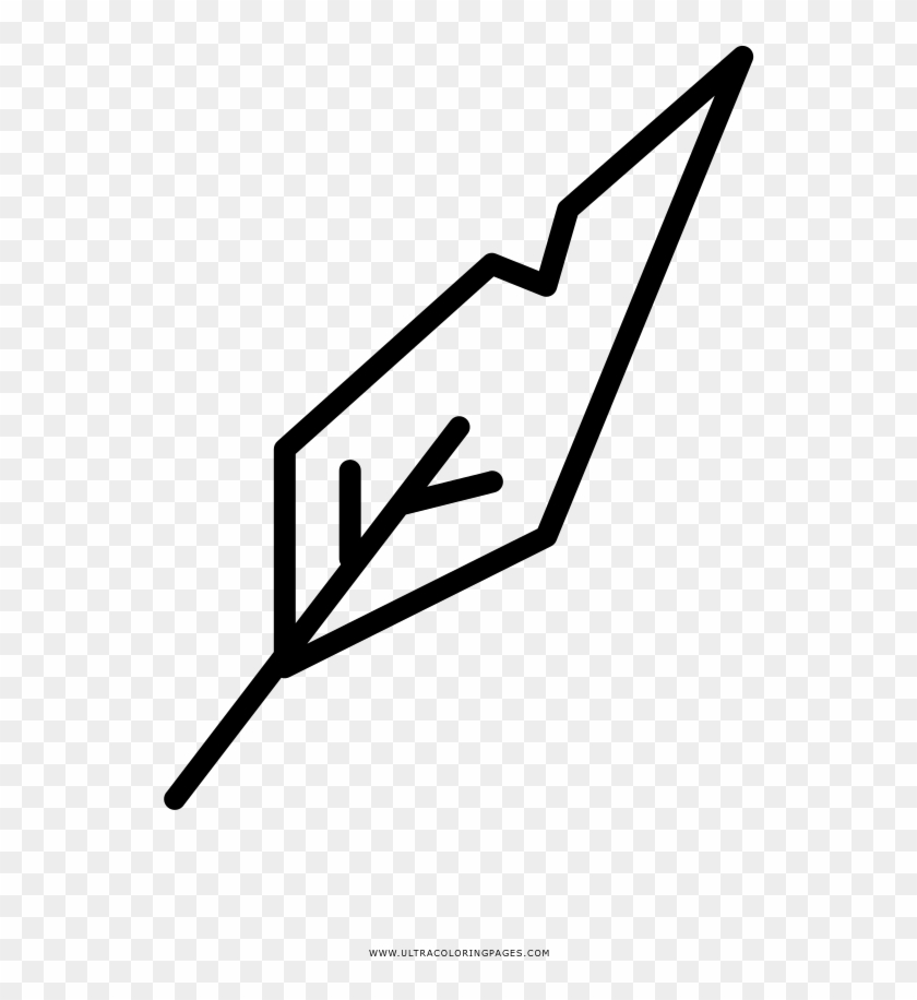 Bird Feather Coloring Page - Bird Feather Coloring Page #1483405