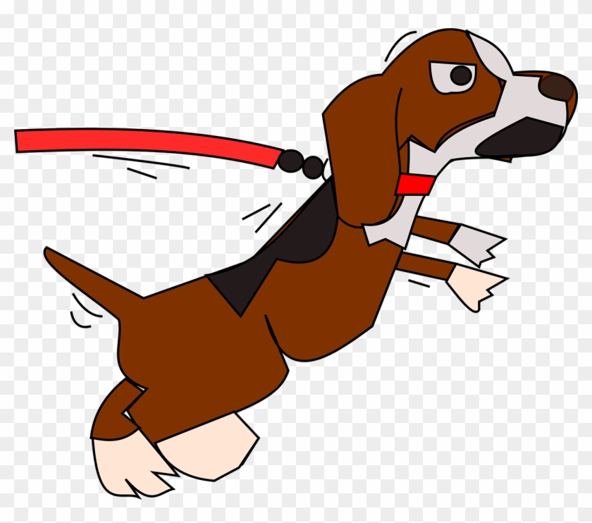 Vector Graphics,free Pictures - Vector Graphics,free Pictures #1484550