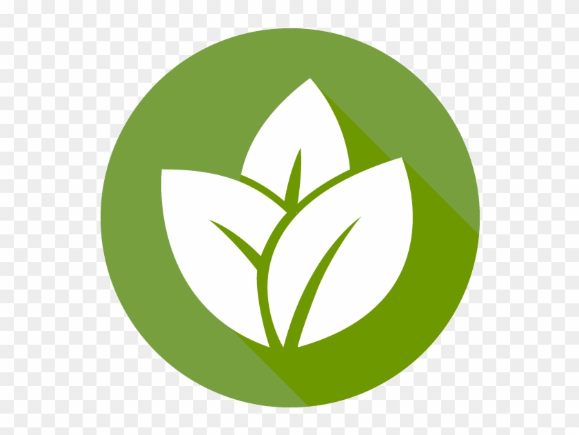 Cancer Retreats - Cancer Retreats #1484742