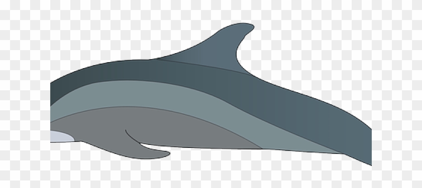 Spinner Dolphin Clipart Swimming Animal - Spinner Dolphin Clipart Swimming Animal #1485269