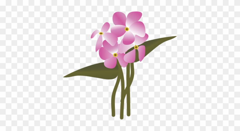 Ian Symbol Phlox Buckelyi Wherry - Ian Symbol Phlox Buckelyi Wherry #1485385