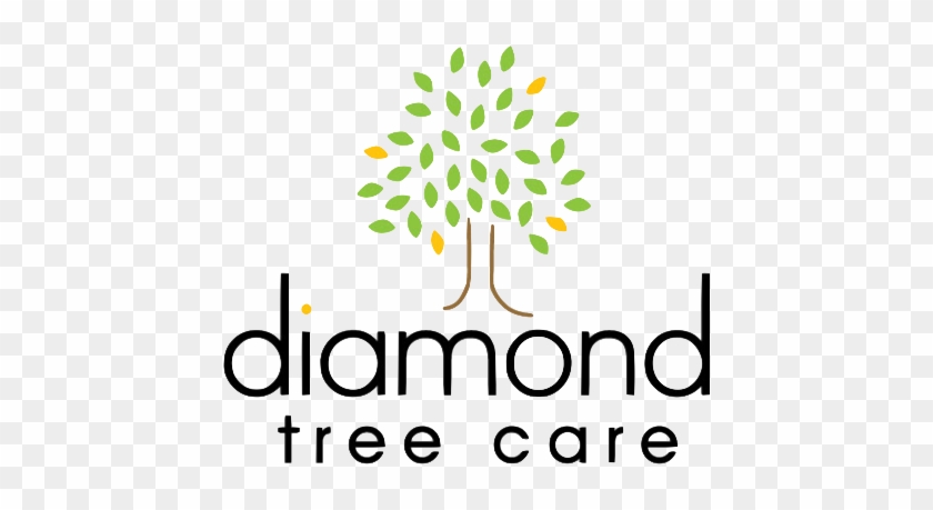 Diamond Tree Care - Diamond Tree Care #1485986
