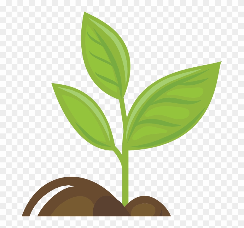 We Grow And Source As Many Plants As Possible From - We Grow And Source As Many Plants As Possible From #1487588