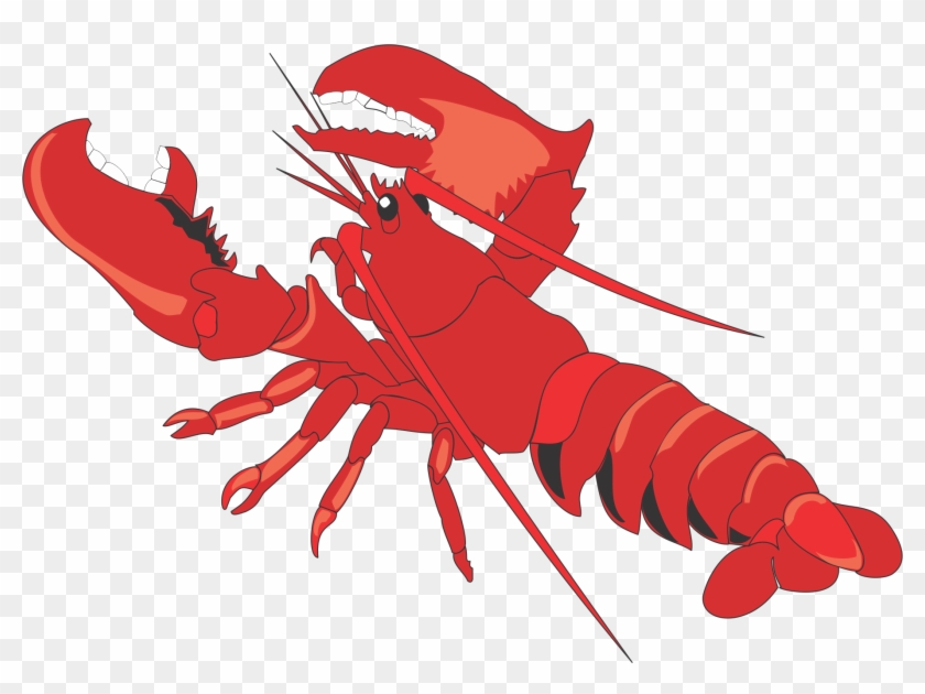 Lobster - Lobster #1488013