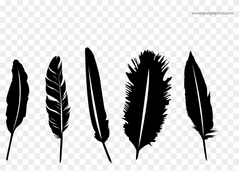 Feathers Silhouette At Getdrawings - Feathers Silhouette At Getdrawings #1490086