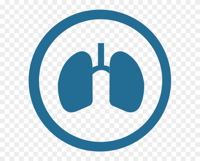 Conduct Training With A Spontaneously Breathing Patient - Conduct Training With A Spontaneously Breathing Patient #1491128