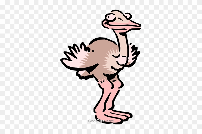 Cartoon Ostrich Royalty Free Vector Clip Art Illustration - Cartoon Ostrich Royalty Free Vector Clip Art Illustration #1491316