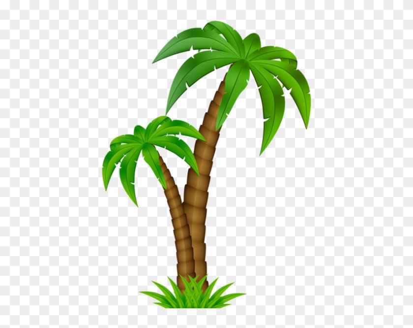 Clip Art Coqueiro Moana Png - Clip Art Coqueiro Moana Png #1491431